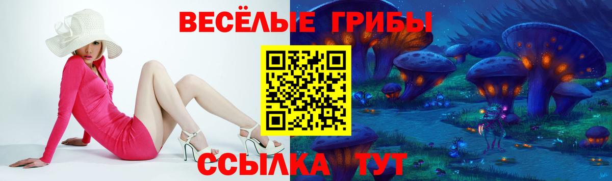 Воронеж  Псилоцибиновые грибы GOLDEN TEACHER  Вход с VPN 